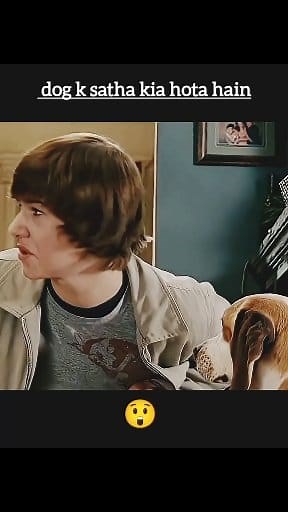 1.9M views · 22K reactions | Dog k sathe kia hota hain  #movieexplainedhindi #movieexplainedinhindi #facebookreels #movieexplanation | Movie Explained Now | Facebook