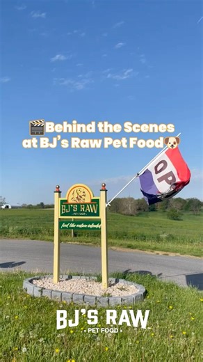 Behind the Scenes at BJ's Raw Pet Food!🎥🎬