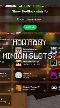 HOW MANY MINION SLOTS | Hypixel Skyblock Profile Reviews [57]