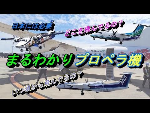 Propeller planes are fun to fly in. A necessity for Japan: From history to benefits [How to fly]
