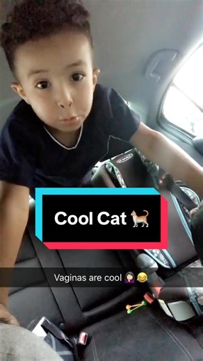 The Charm of Cool Cats: Why They're So Appealing