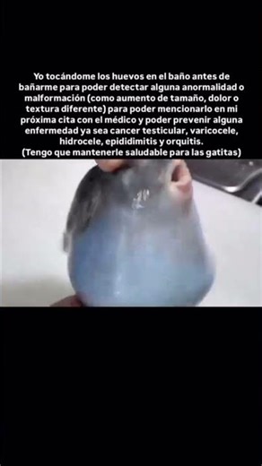 Cómo debe de ser 😎 #shorts #memes #momos #huevos #reels