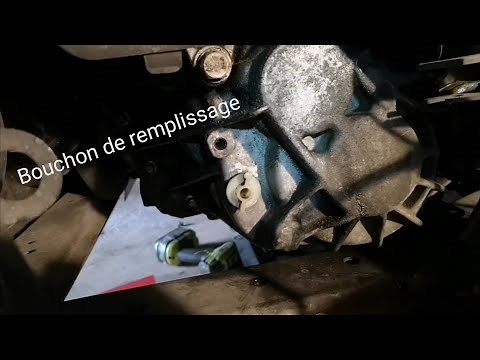 Bouchon de vidange boîte de vitesse Scenic 2 phase 2.