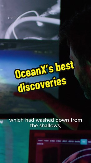OceanX on TikTok