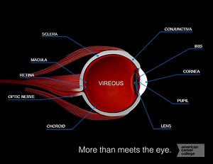 Want an exciting career thats more than meets the eye? Our Optics Technician Program focuses on training you for an exciting and fulfilling career helping people see better and look their best! #americancareercollege #accopticaltechnician #healthcareeducation #losangeles #ontario | American Career College