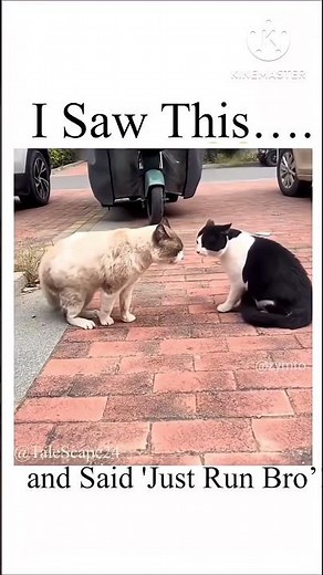 I Saw This And Said ‘Just Run Bro’!