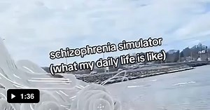 Schizophrenia simulator - Video
