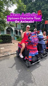 21K views · 25K reactions | NEW ACTIVITY: Ride animals through Uptown...