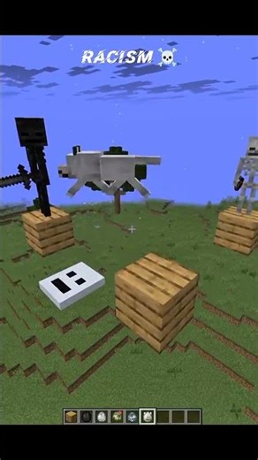 MINECRAFT RACISM ☠️🥀