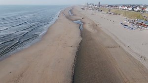 Building the Perfect Zoo in Planet Zoo: Tips and Tricks