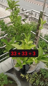 New Math Chllange Solution | Learn And Solve