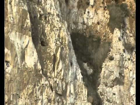 Shingle beach formation