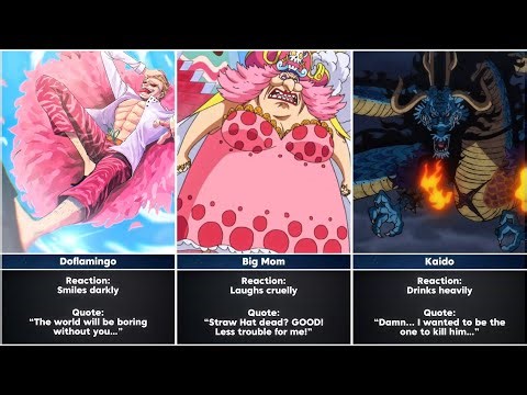 If Luffy Died… How the One Piece World Would React