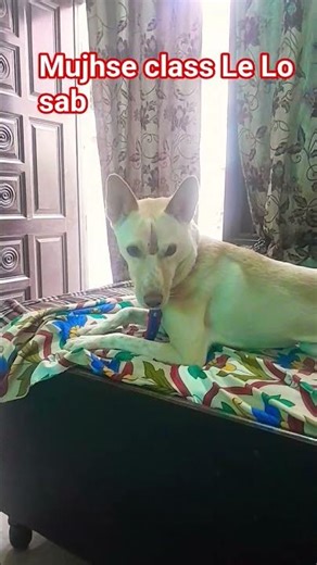 meri life First Class Hai