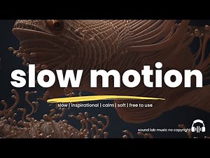 Slow Motion Background Music No Copyright For Videos | Royalty-Free Instrumental Music