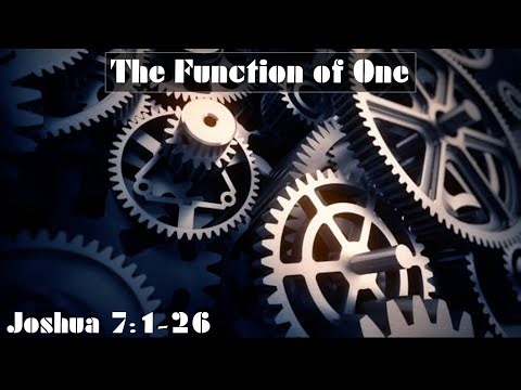 The Function of ONE