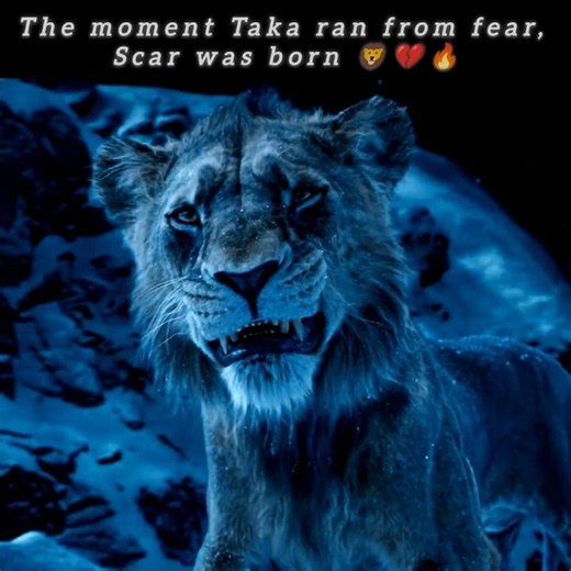 The 3 Choices That Changed Taka Forever