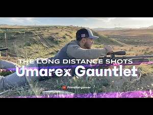 Umarex Gauntlet long shots just like an FX Impact