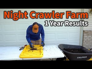 1 Year of Worm Farming in My Basement – Results & Lessons Learned