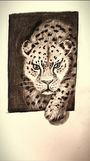 ❤️✏️ How To Draw a Jaguar | Pencil Drawing #pencildrawing #pencilart #drawing #drawingtutorial #howtodraw #sketch #jaguar #art #artist #fyp