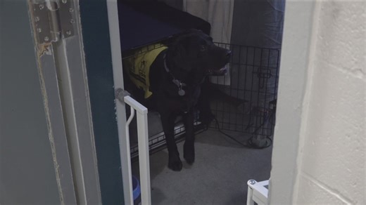 Idaho correctional facility trains future service dogs, community help needed on weekends