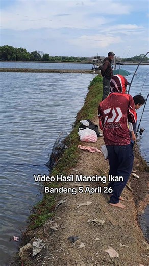 Video Hasil Mancing Ikan Bandeng 5 April 26
