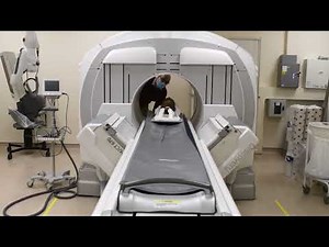 Mummified head and cat CT scan full video