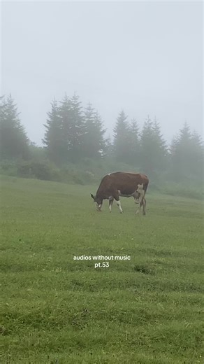 audios without music. #foryou #muslim #islam #fyp #foryoupage #audios #muslimah #viral #trending #fypp #fyppp #fypppp #fyppppp #fyppppppppppppppppppppppp