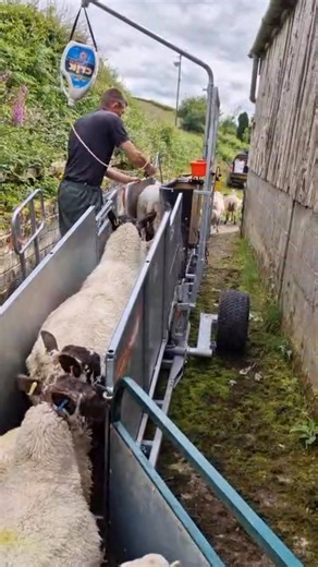 154K views · 834 reactions | A Combi Clamp with weighing isn’t just...