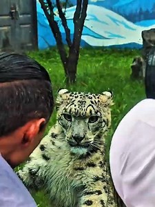 This Predator Looks Too Cute to Be Real ❤️