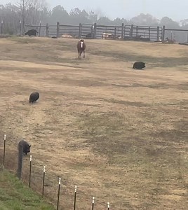 7.4M views · 108K reactions | Razor, who you may remember from my...