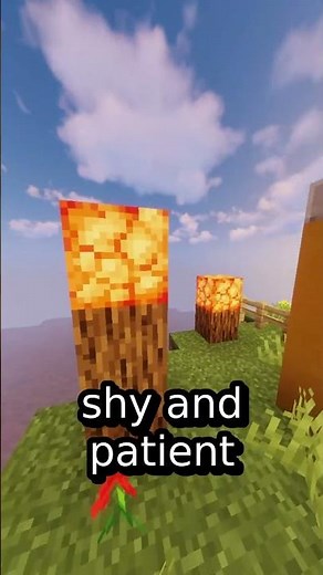 Reddit Relationship Stories: The Magical First Kiss That Changed Everything