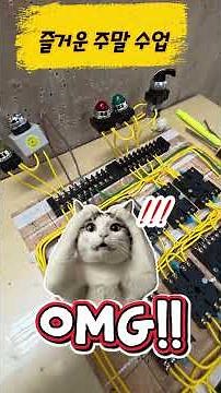 #ElectricalTechnicianPracticalExam(FunWeekendClass)_Sejong Dasan Edu