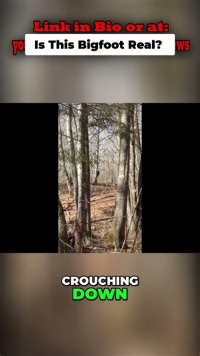 Is This Creature Real? Examining Strange Behavior! #shorts