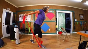 Fitness to Function LLC, CLIENT/MEMBER LIVE-REMOTE PERSONAL TRAINING WORKOUTS