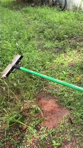This is all you need to clear the weeds in your yard this rainy season|#shortvideo #grasshopper