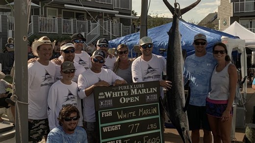 Video: 77-pound white marlin takes top spot on White Marlin Open leaderboard in Day 5