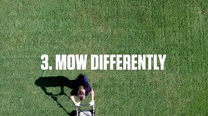 Four simple steps to maintaining a healthy lawn. | STIHL