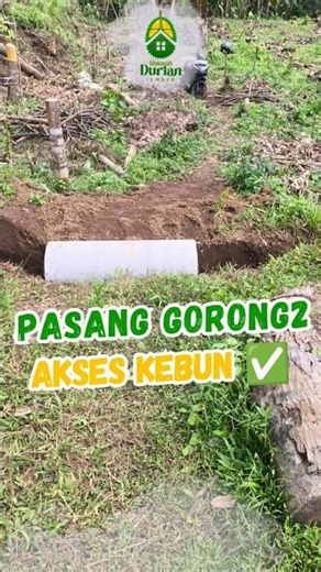 Install Culverts for Garden Access 🌳