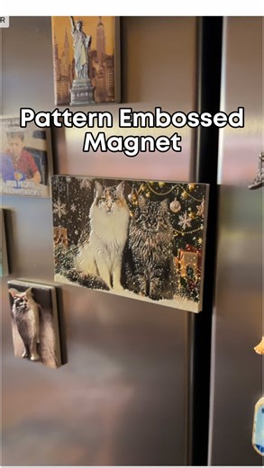 Adding dimension to digital photos. 🖼️🐱 @David Krammer used the #eufyMake