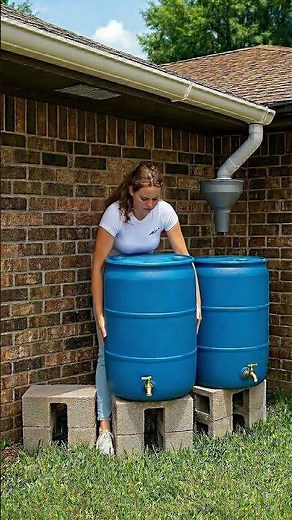 Genius Rainwater Harvesting System You Can Build at Home! 🌧️💧