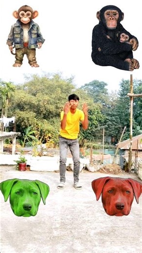 Which God do you believe in? #shankar​ ji #laxmi​ ji #ganesh​ ji #hanuman​ ji #relegious​ #devotion