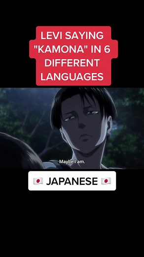 Levi saying