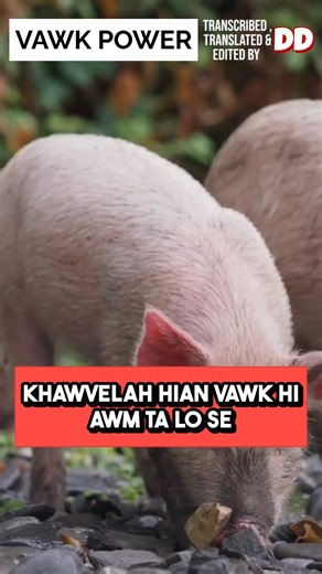 Didinga Troxx on Instagram: ""You come to my house , I will kill you Pig""