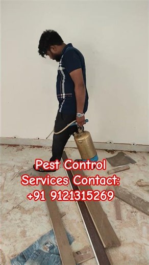 Pest Control Servicesl #ad #pestcontrol #ytshorts