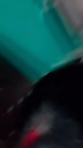 @itspreetijaatni | Preeti Chaudhary