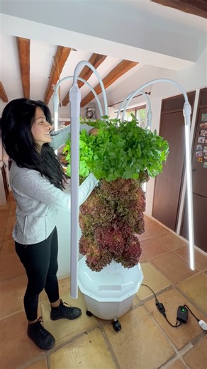 Grow up to 32 plants indoors with the aeroponic tower for home use #aeroponics #towergarden #garden