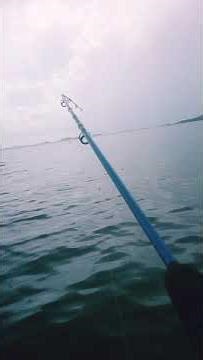 catch and release #cover #singersongwriter #music #singer #coversong #mindanaomaster #fishing