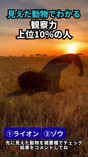 The animal seen by the top 10% of observers: Lion? Elephant? Which one do you see? Lion 🦁 or Elep...