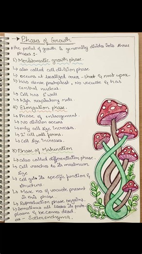 ​✍️ Study With Me:Plant Growth and Development (Handwritten & Detailed Notes)
